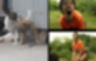 Suka Menggonggong hingga Makan Daging Mentah, Inilah Kisah Oxana Malaya, Wanita Ukraina yang Dibesarkan Anjing Liar