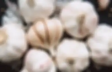 Turunkan Berat Badan Berlebih dengan 5 Ramuan Bawang Putih Ini!