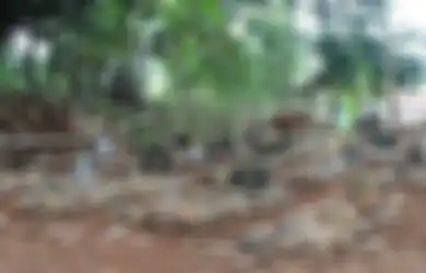 Tanah Makam Berisik Pengerjaan Proyek, Jasad di Bogor Sampai Datang ke Mimpi Anaknya Minta Pindah Kuburan