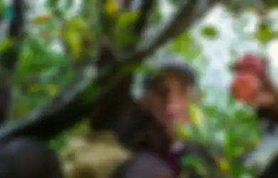 3 Weton Ini Konon Selalu Sukses Apapun Pekerjaan atau Usaha yang Digelutinya