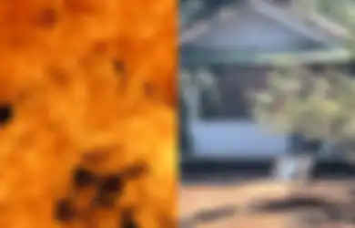 Tragisnya Kondisi Tubuh Anak Pamen TNI AU yang Tewas di Lanud Halim, Rongga Perut Pendarahan Hebat Hingga Luka Bakar 91 Persen!