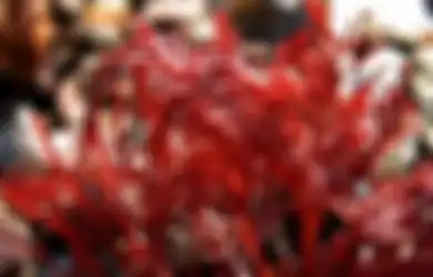 Lowongan Kerja Gaji Rp21 Juta di Jawa Timur, PT Hongxin Algae International Buka Kesempatan Emas di Posisi Ini