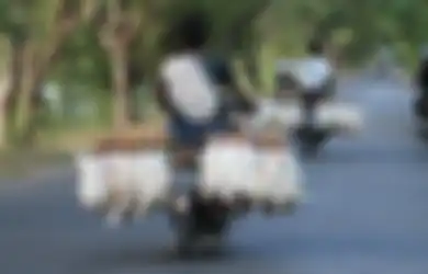 Karakter Weton Jumat Legi, Luar Biasa Sabar yang Paling Cocok Jadi Peternak Hewan