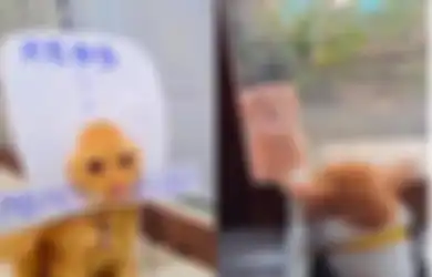 Kekuatan Khodam Kucing Orange Raksasa, Insting Spiritualnya Tajam dan Penuh Keseimbangan