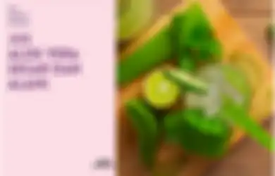 Resep Jus Aloe Vera yang Bikin Segar Saat Cuaca Panas Ekstrem