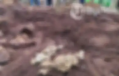 Warga Sebut Pocong Mini yang Terkubur di Kawasan Candi Watu Genuk Boyolali Medium Ilmu Hitam yang Bunuh Satu Keluarga: Lebih dari Santet!