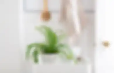 Letakkan 2 Tanaman Ini di Kamar Mandi Bisa Usir Bau Enggak Sedap!
