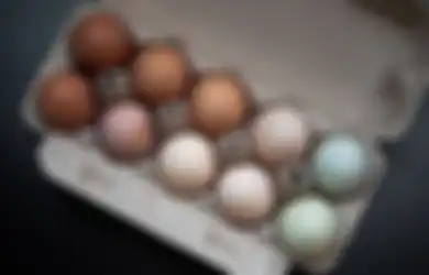 Selain Beda Warna, Ini 5 Perbedaan Nutrisi Telur Ayam dan Telur Bebek