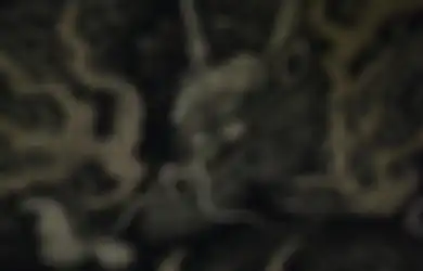 Kekuatan Khodam Naga, Makhluk dengan Kekuatan Istimewa yang Bawa Keberuntungan Tinggi