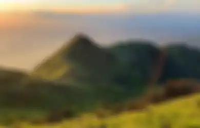 Kekuatan Khodam Kera Gunung Merbabu, Siap Lindungi Majikan dari Segala Energi Jahat