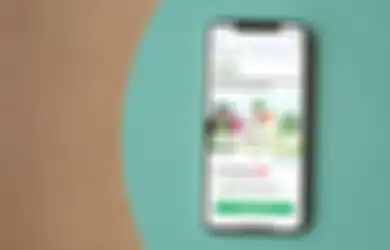 Mau Hemat Ongkir Pas Promo 11.11 di Tokopedia? Yuk, Langganan Paket Ini Dulu