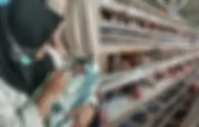 Bayi Laki-laki Baru Lahir Dibuang di Samping di Kandang Ayam, Kondisi Memprihatinkan, Tangan dan Kaki Membiru
