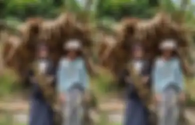 Rumah Gubuk Jadi Saksi, Sri Wulandari Bangga Selesai Sidang Skripsi Langsung Foto Bareng Orang Tua yang Baru Pulang dari Ladang