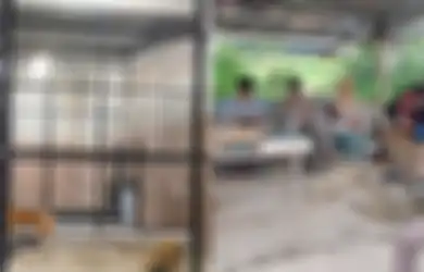 Sebelum Tewas Diterkam, Suprianda Diancam Bosnya Bakal Dipecat Jika Tak Mau Beri Makan Harimau