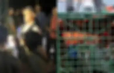 Detik-detik Istri Lihat Suaminya Bersimbah Darah Diterkam Harimau Sumatera Milik Majikan, Korban Meninggal Dunia, Jasad Terkoyak