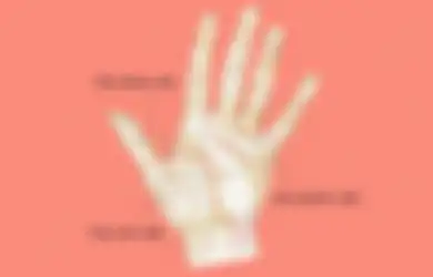 Arti Garis Tangan Berbentuk M yang Sangat Langka, Konon Bawa Keberuntungan