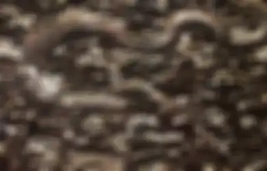 Pantangan dalam Memelihara Khodam Naga, Sekali Malas-malasan Langsung Murka