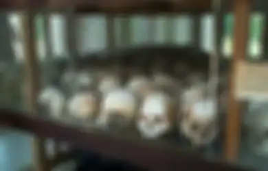 Ketika Komunis Moderat Menghancurkan Komunis Radikal, Peristiwa Vietnam Menggulingkan Pol Pot Dan Rezim Khmer Merah