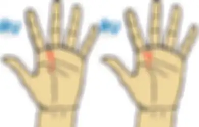 6 Garis Tangan Ini Bisa Menentukan Karier Masa Depanmu