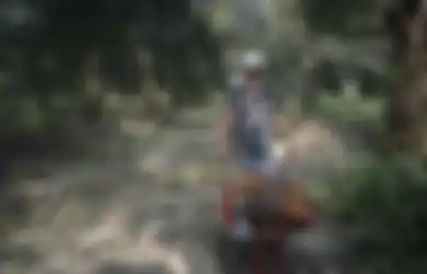 Kelapa Sawit Dapat Diolah Menjadi Apa Saja? Tak Hasilkan Limbah