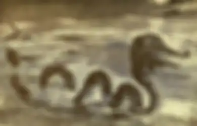 Pantangan yang Tak Boleh Dilanggar Saat Memelihara Khodam Ular Laut Pantai Selatan