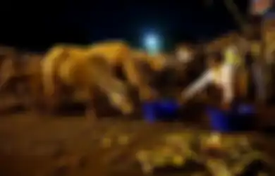 3 Khodam yang Sering Digunakan Sebagai Penglaris, Jadi Incaran Para Pedagang!