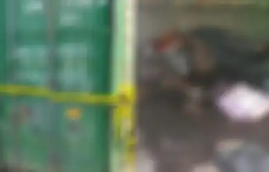 Petugas Bongkar Muat Pelabuhan Tanjung Priok Tak Ada yang Kenali Ciri-cirinya, Jasad Wanita dalam Peti Kemas Diperkirakan Tewas dalam Waktu Ini
