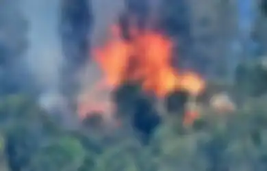 Terus Tebar Teror, KKB Papua di Intan Jaya Brutal Bakar 4 Rumah Bantuan Dinsos, Kasatgas Humas Ops Damai Cartenz Buka Suara