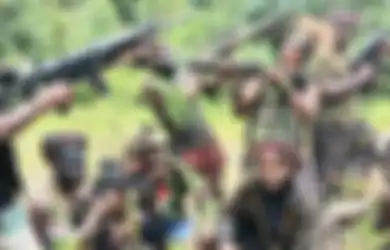 KKB Papua di Maybrat Kalang Kabut Markasnya Dikuasai TNI, Manfred Fatem dan Anak Buahnya Lolos dari Sergapan, Dansatgas Yonif 133/Yudha Sakti Buka Suara