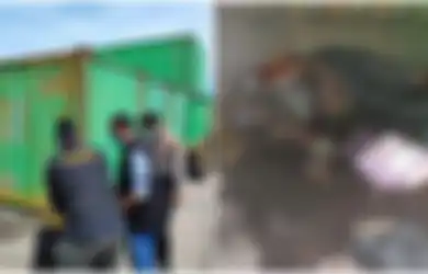 Sisa-sisa Racun Tak Ditemukan di Organ Internalnya, Terungkap Penyebab Asli Kematian Wanita Asal Fakfak yang Ditemukan Membusuk di Tanjung Priok