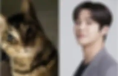 Rowoon Iklaskan Kematian Kucing Kesayangan yang Dipelihara 18 Tahun
