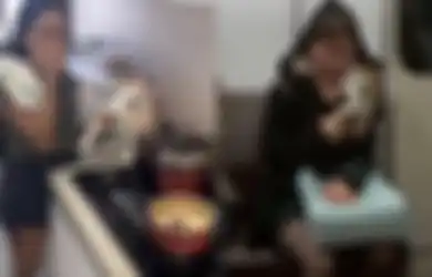 5 Tanggal Lahir yang Paling Cinta dengan Hewan Kucing, Sampai Dianggap Anak Sendiri!