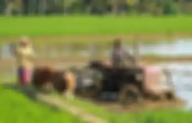 Manfaat Bioteknologi Dalam Pertanian, Serta Tantangan Penerapannya oleh Petani Umumnya di Indonesia