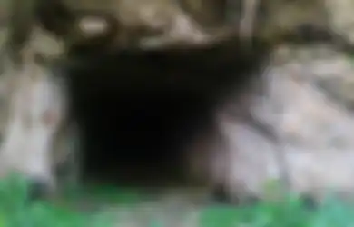 2 Khodam Terkuat yang Menunggu Gua Jepang Lembah Gunung Madu