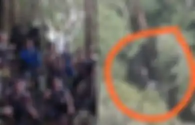 Lewati Pedalaman Hutan Tanpa Manusia, Polisi Krayan Pencari Pesawat Smart Aviaton Dibekali Ramuan Pengusir Setan dan 2 Mi Instan