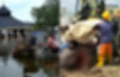 Kades Sembelih Wedhus Kendit di Dekat Tanggul Jebol Penyebab Banjir Demak, Bupati: Seribu Kambing pun kalau Tidak Ditambal ya Tetap Banjir...