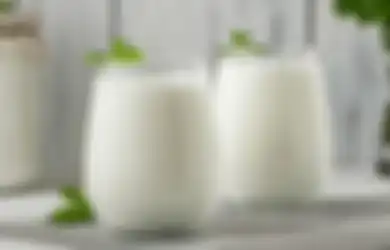 Cuma 5 Menit Resep Minuman Ayran, Minuman Yoghurt asal Turki