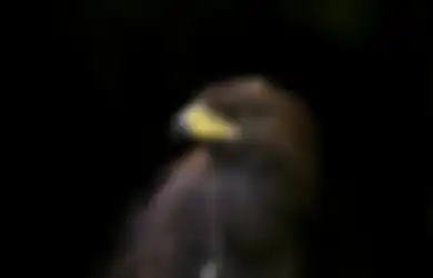 3 Khodam yang Selalu Bertindak Semaunya Sendiri, Sulit Banget Dikendalikan