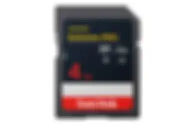 WD Hadirkan SD Card 4TB & Solusi Penyimpanan Lain di NEB 2024