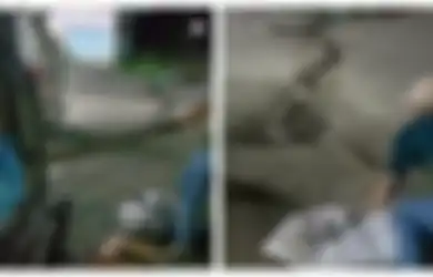 Emosi Dititipi Paket Ular Piton, Sopir Travel Ini Murka Penumpangnya Sampai Terlilit Sanca Kiriman: Enggak Safety!