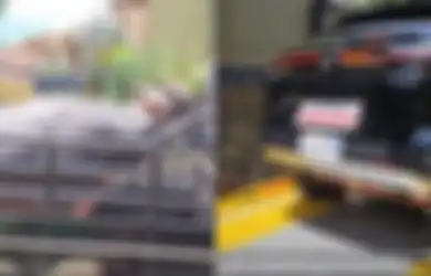 Viral Pria Pati Bawa Seserahan Kerbau, PCX, HRV, dan Uang Ratusan Juta Rupiah, Terungkap Nama Pengantin