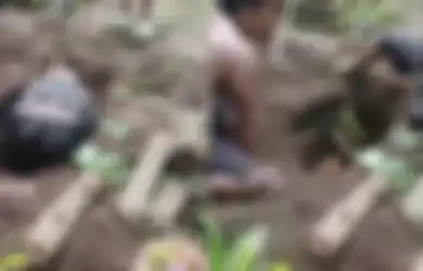 Viral Makam Bayi di Lumajang Dibongkar, Polisi Turun Tangan Dalami Isu Pernikahan Siri dan Asal Usul Jenazah, Ini Faktanya