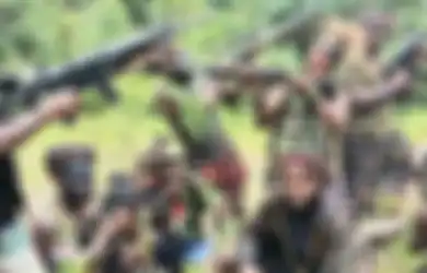 Polri Minta Gunakan Penyebutan KKB dan Bukan OPM, Kasatgas Damai Cartenz: Saya Mendapat Teguran...
