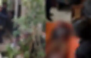 Kakek Alex Tewas dengan Kepala Hancur, Kamar Belakang Penuh Sesajen Berbagai Cairan Aneh dan Kain Pembungkus Mayat