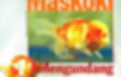 Hikayat Ikan Maskoki yang Dipercaya Selalu Mendatangkan Hoki