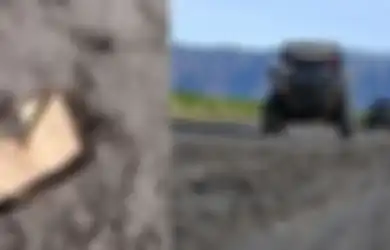 Satu Jip Jadi Korban, Ranjau Paku Berceceran di Lautan Pasir Gunung Bromo