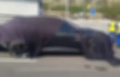 Polisi Beberkan Kronologi Ferrari Purosangue Bisa Terbalik Dari Towing