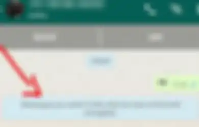 Ternyata Inilah Fungsi Enkripsi End-to-End di Aplikasi WhatsApp
