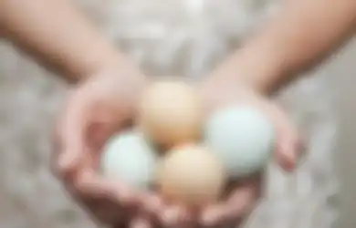 Biar Enggak Sakit, 5 Jenis Makanan Ini Wajib Dikonsumsi Tiap Hari!