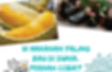 10 Makanan Paling Bau di Dunia. Pernah Coba? 